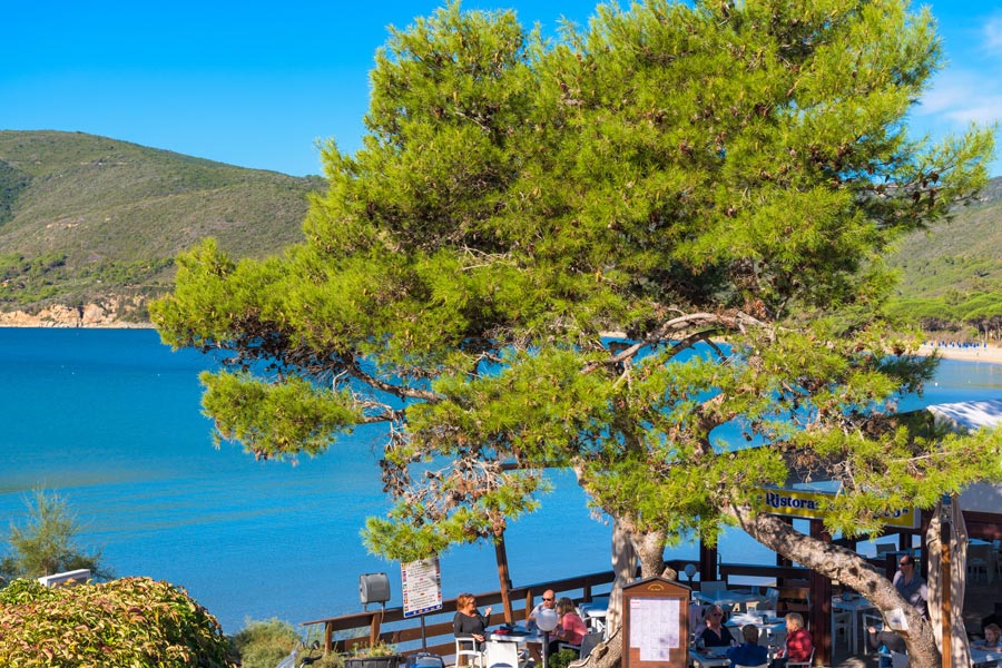 Appartamenti Elba
